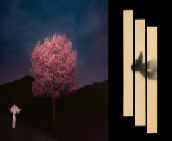 Les nuits &eacute;toil&eacute;es