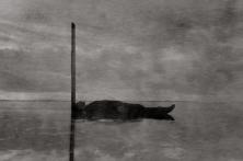 Untitled #12, 2013