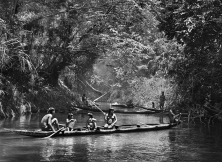 Pêche au timbó. Territoire indigène suruwahá, État d’Amazonas, Brésil, 2017.