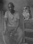 Silva and wood owl-Zimbabwe 2020