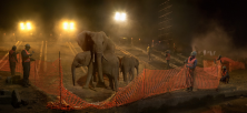 Highway construction with Elephants, Workers & Fence, 2019