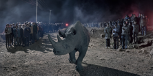 River of people with Rhino, 2019