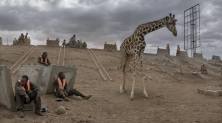 Highway construction with Giraffe & Workers, 2019