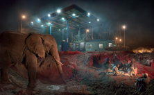 Petrol station with Elephants & Kids, 2019