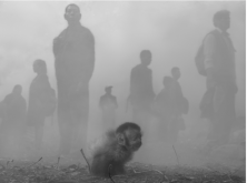 Hob & People in Fog, Bolivia, 2022