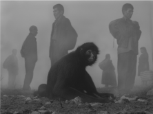 Pimienta & People in Fog, Bolivia, 2022