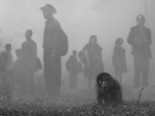 Jame with People in Fog, Bolivia, 2022