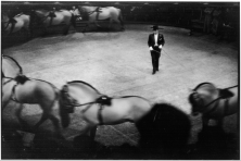 Cirque d'Hiver, Paris, France, 1951