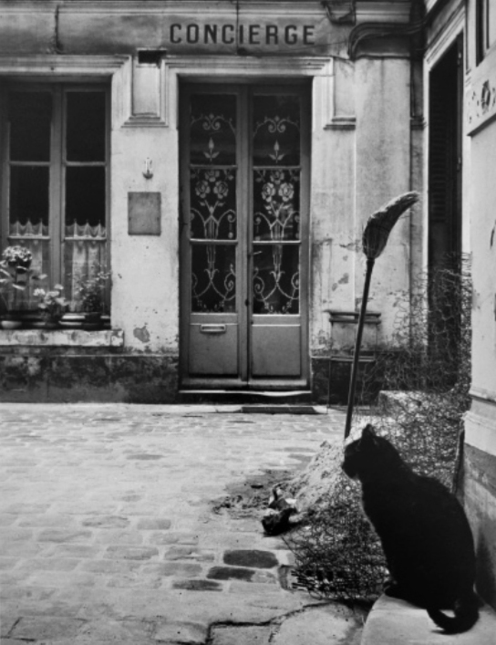 Le chat devant la loge, rue de Tournon, Paris, 1957.