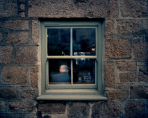 Window, 2017