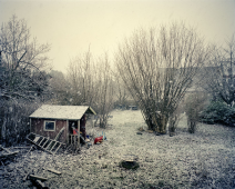 Winter Garden, 2010