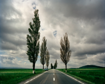 The Road to Mironu, Roumanie