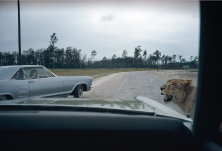 Drom the Car, Florida, 1970