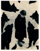 A winter tale, 2026.