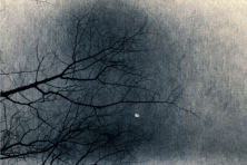 The Anatomy of Melancholy, 2026.