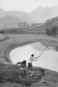 Travail de la terre dans la province du Sichuan, Chine, 1957