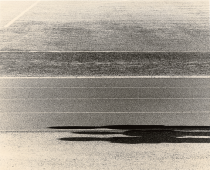Untitled (three shadows), 2025.