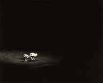 Untitled (two performers), 2025.