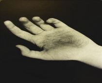 Untitled (hand), 2025