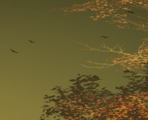 Automne, 2022.