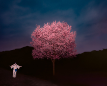 Pink Tree, 2023.