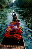 Flower Seller. Dal Lake, Srinagar, Kashmir, 1996.