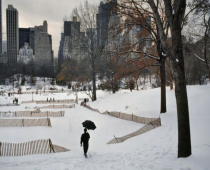 Snowy Stroll Through Central Park, 2008