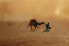 Camels in Dust Storm, 2010