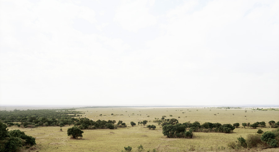 Masai Mara III, 2009