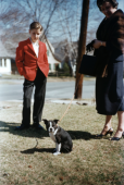 A Dog’s Life, 1950