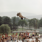 High Dive, 1972