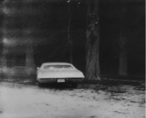Voiture américaine, Parc de Saint-Cloud, 2024