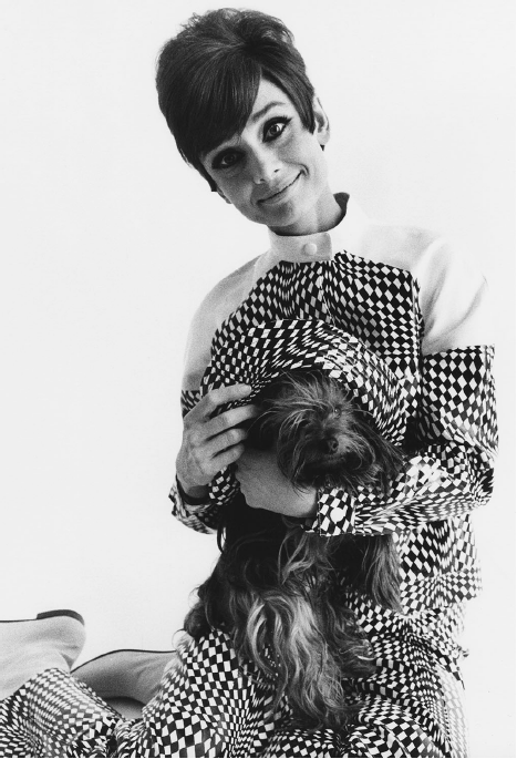 Audrey Hepburn + Yorkshire, Paris 1965 (Vogue US January 1966)