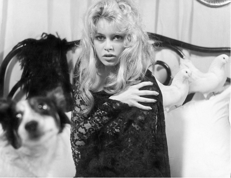 Brigitte Bardot, 2 colombes et un chien, Paris, 1958 (Vogue)