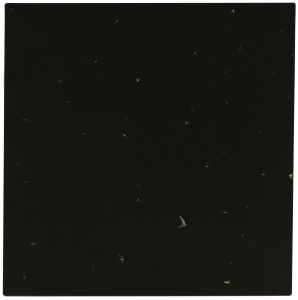 mk 0003, 2025
