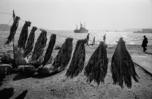 Echeveaux de laine posés à sécher, devant un bateau, sur la côte européenne du Bosphore, Ortakoÿ, Turquie, 1964