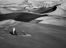 Algeria, 2009