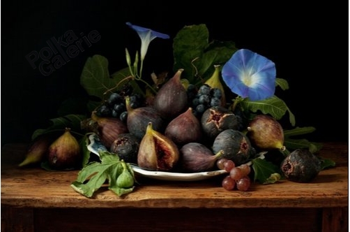 Figs and Morning Glories, 2010