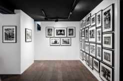 Exhibition “Round Trip > Paris New York” Elliott Erwitt